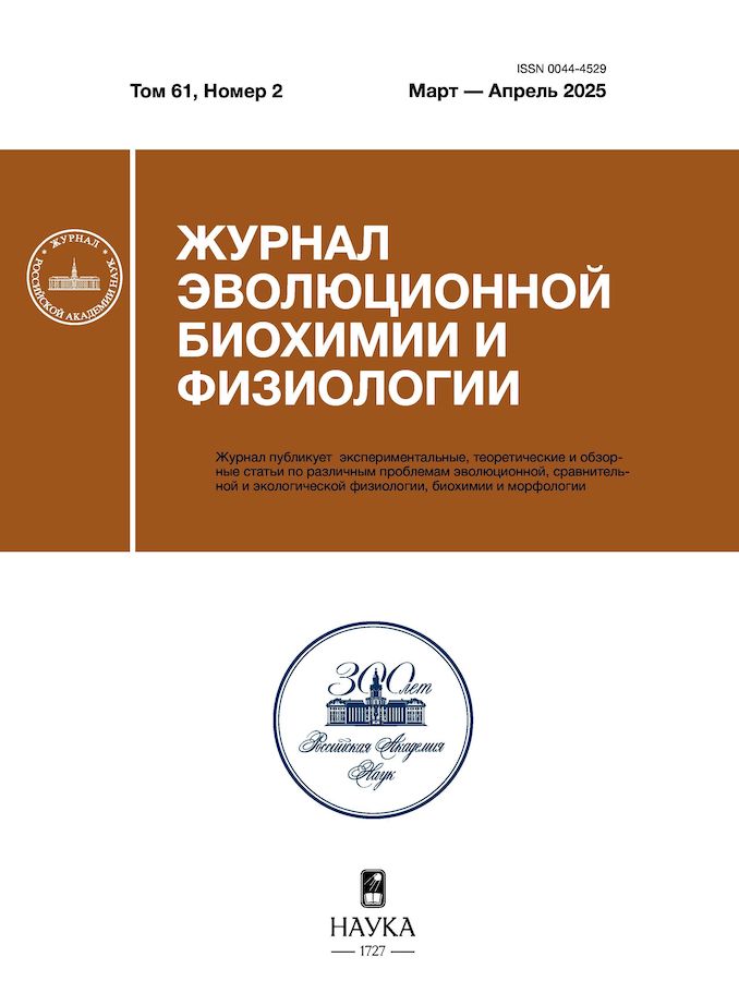 Page Header Logo