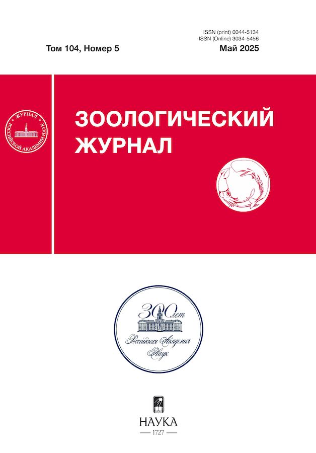 Page Header Logo