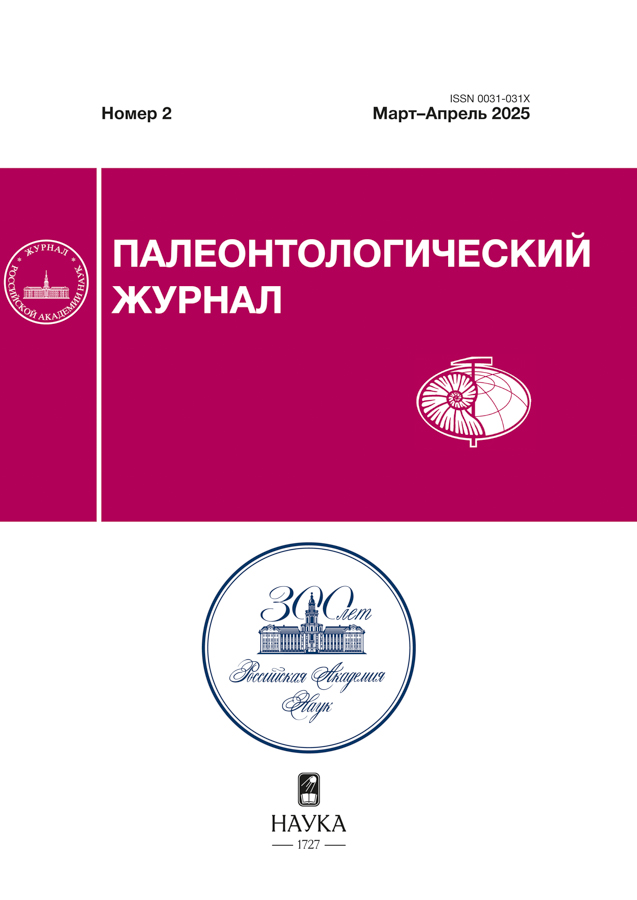 Page Header Logo